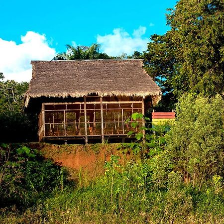 Hostel Heath River Wildlife Center Puerto Pardo Exteriér fotografie