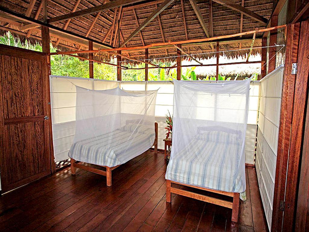 Hostel Heath River Wildlife Center Puerto Pardo Pokoj fotografie